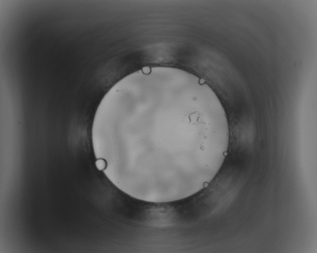 X0000100930415200806241409