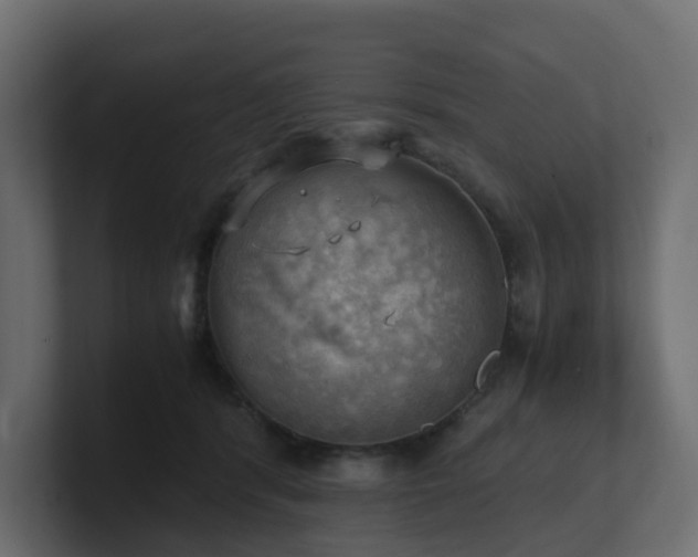 X0000100930416200806241409