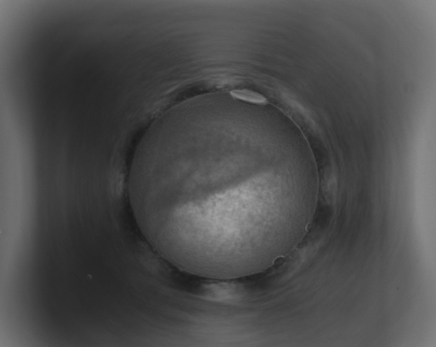 X0000100930417200806241409