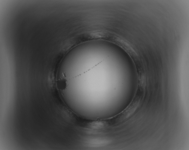 X0000100930418200806241409