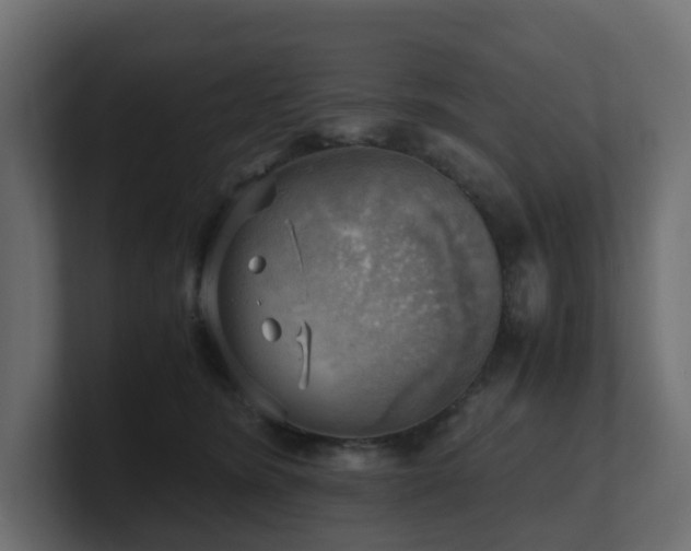 X0000100930420200806241409