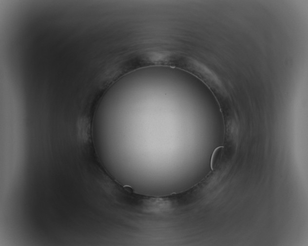 X0000100930421200806241409