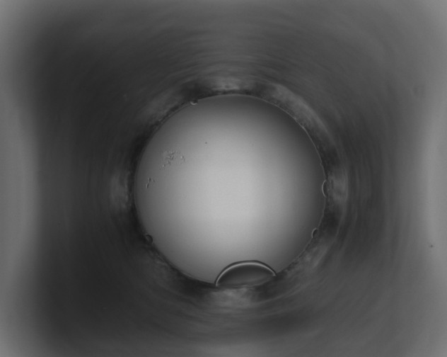 X0000100930422200806241409