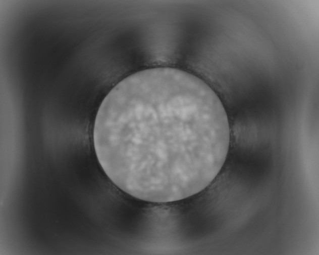 X0000100930423200806241409