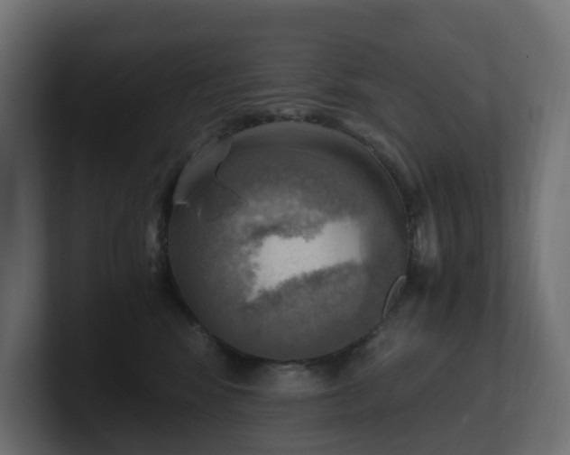 X0000100930424200806241409