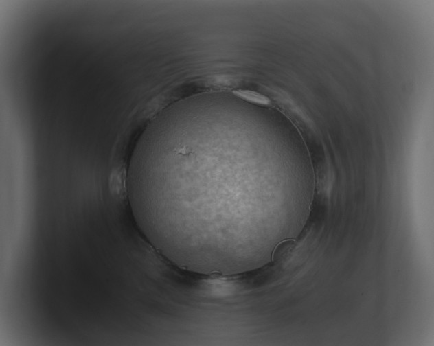 X0000100930425200806241409