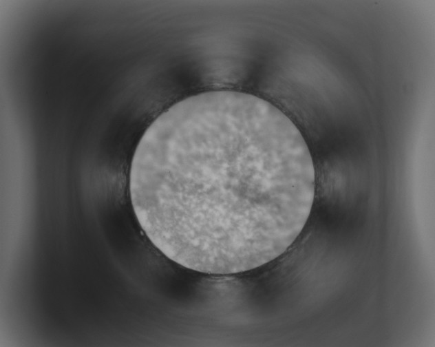 X0000100930427200806241409