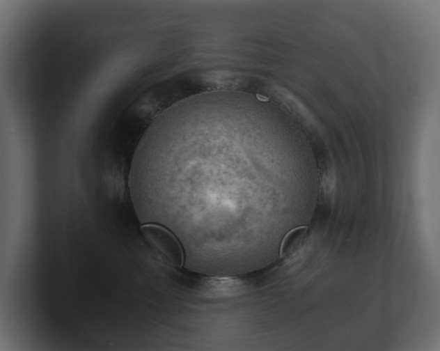 X0000100930429200806241409