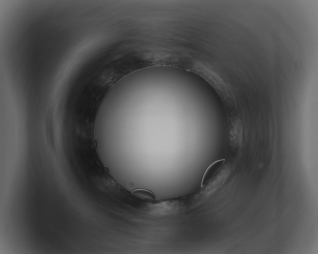 X0000100930430200806241409