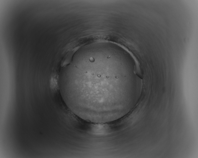 X0000100930432200806241409