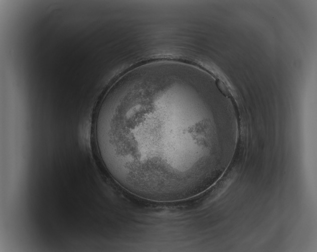 X0000100930434200806241409