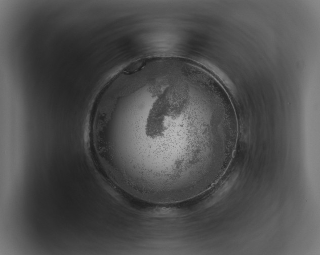 X0000100930437200806241409