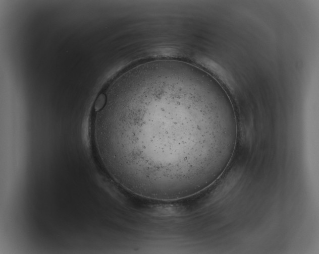 X0000100930439200806241409