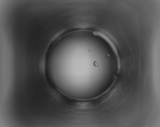 X0000100930440200806241409