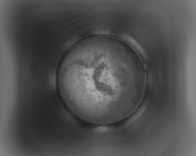 X0000100930441200806241409