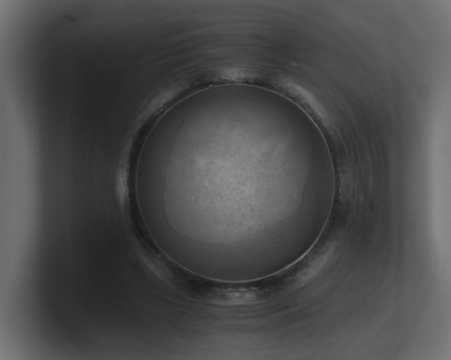 X0000100930443200806241409