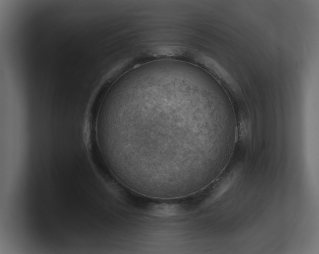 X0000100930444200806241409