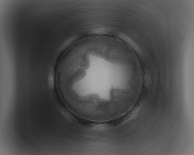 X0000100930446200806241409