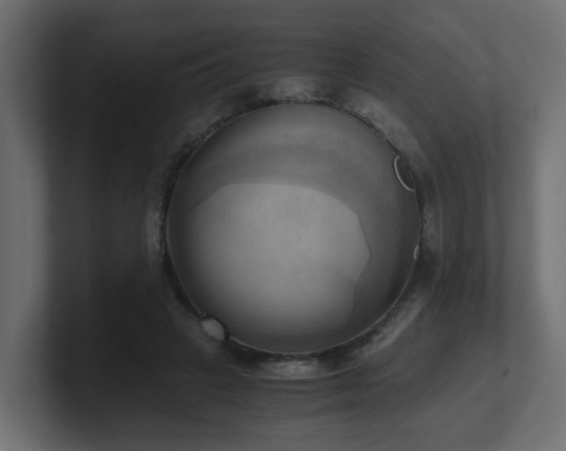 X0000100930449200806241409