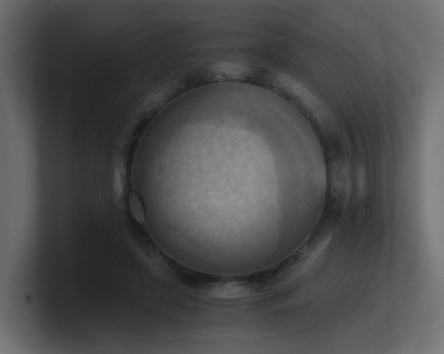 X0000100930451200806241409