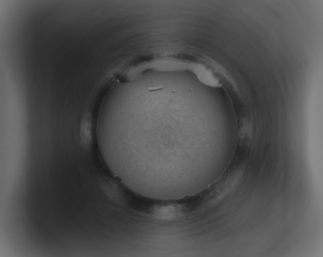 X0000100930452200806241409