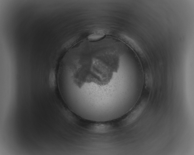 X0000100930453200806241409