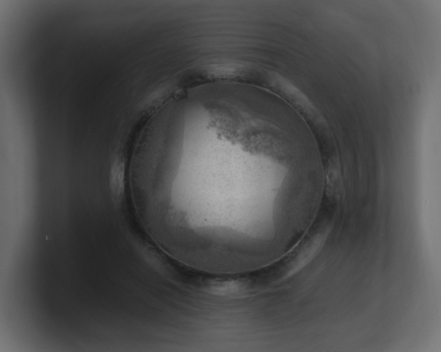 X0000100930454200806241409