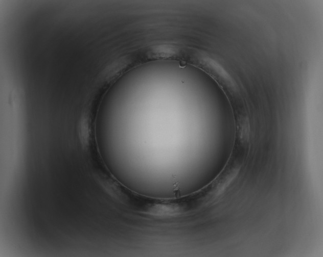 X0000100930455200806241409