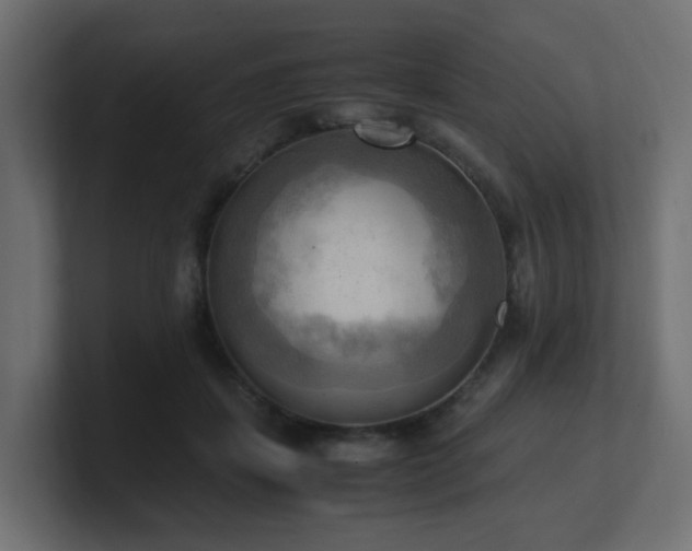 X0000100930459200806241409