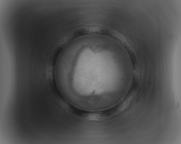 X0000100930462200806241409