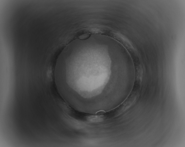 X0000100930465200806241409