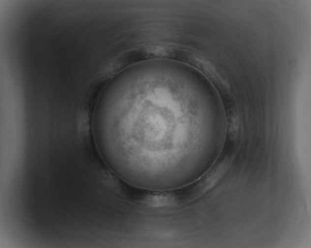 X0000100930466200806241409