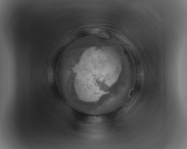 X0000100930469200806241409