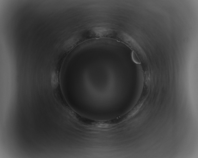 X0000100930471200806241409