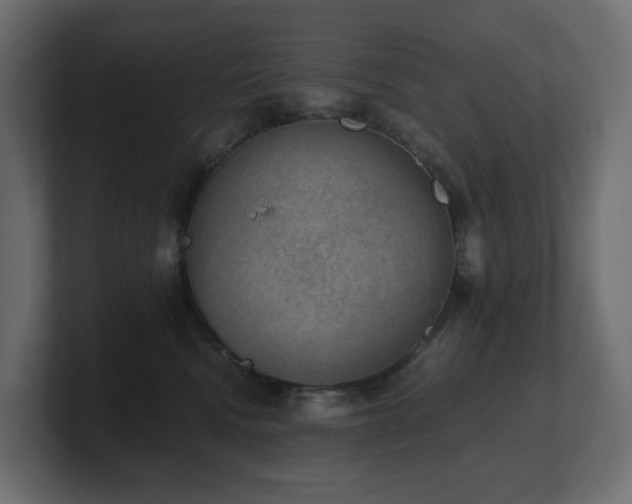 X0000100930472200806241409