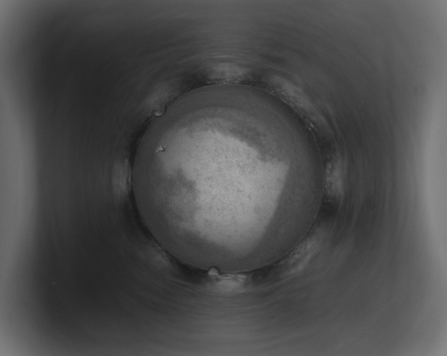 X0000100930474200806241409