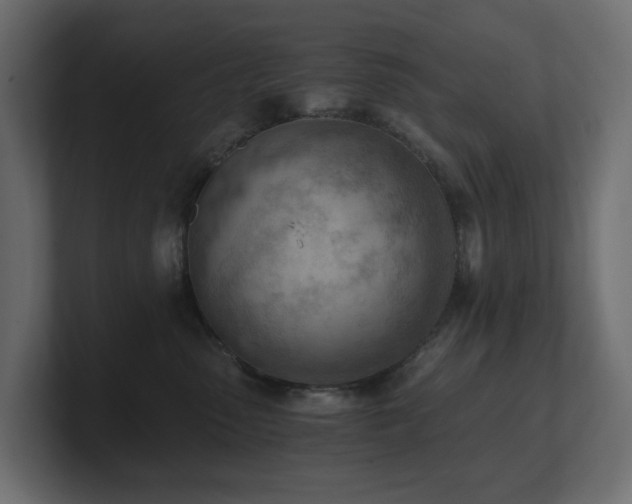 X0000100930475200806241409