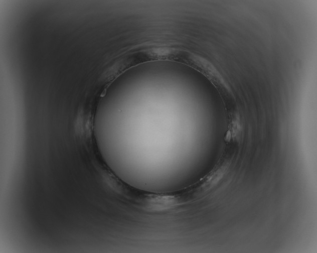 X0000100930476200806241409