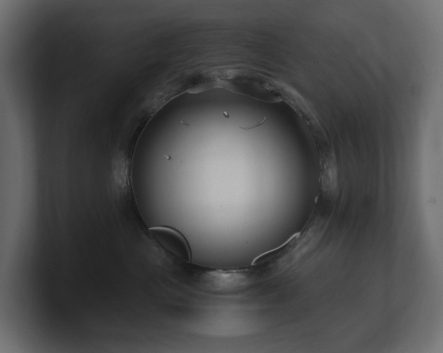 X0000100930477200806241409