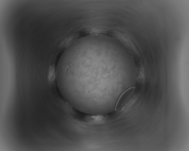 X0000100930478200806241409