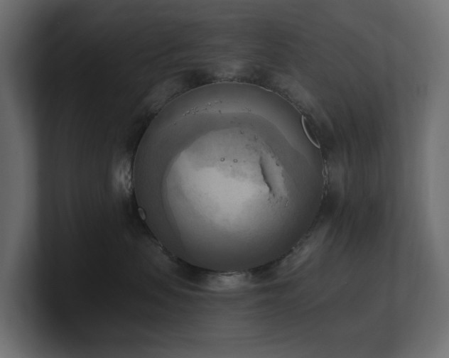 X0000100930479200806241409