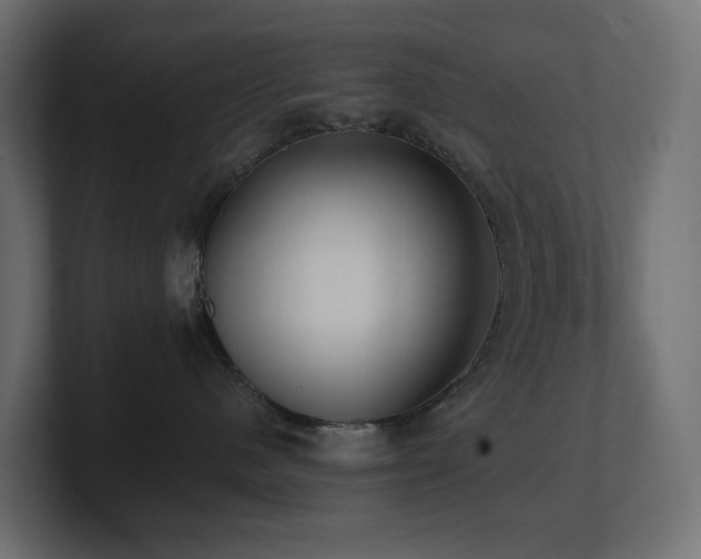 X0000100930480200806241409