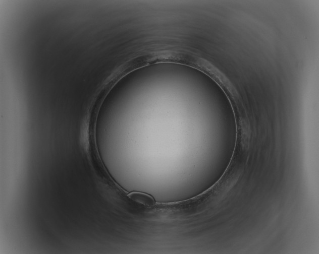 X0000100930482200806241409