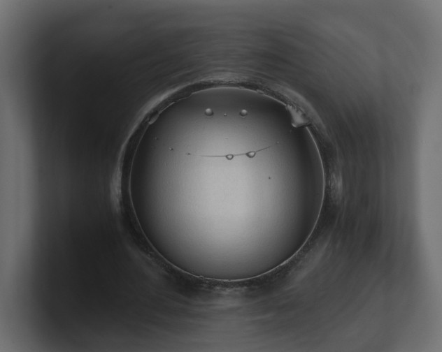 X0000100930484200806241408