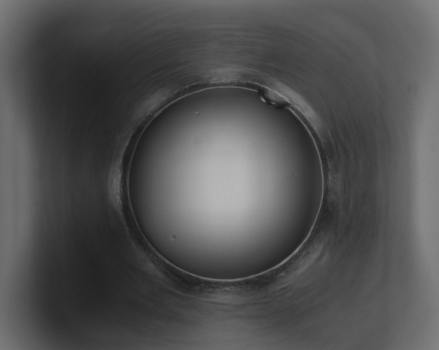 X0000100930485200806241408