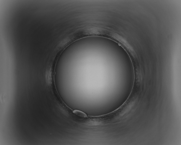 X0000100930489200806241408