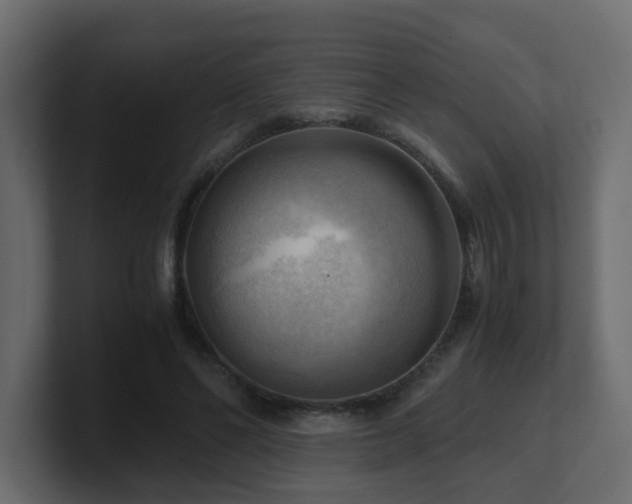 X0000100930494200806241408