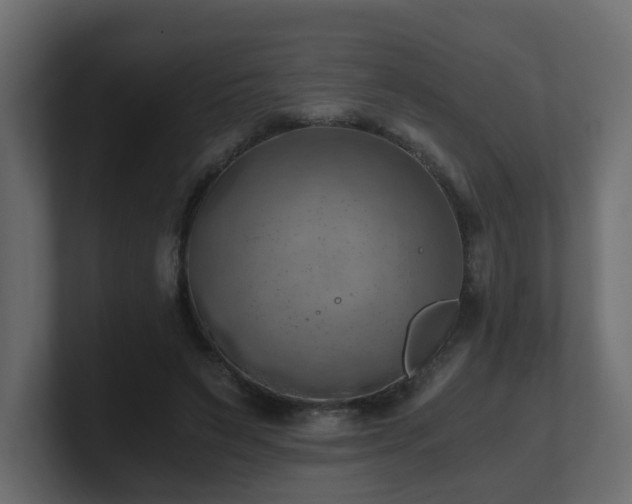 X0000100930495200806241408