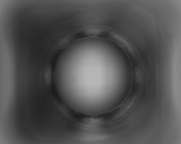 X0000100930498200806241408