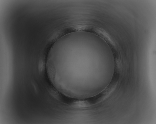 X0000100930499200806241408